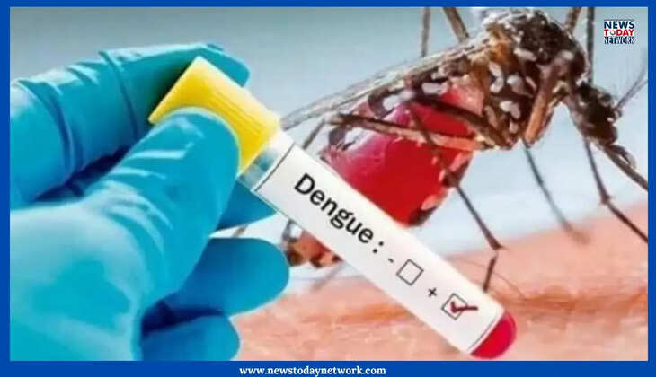 Uttarakhand News - डेंगू पॉजिटिव दो मरीजों की मौत, डॉक्टरों ने बताया यह कारण, अब तक मिले हैं 18 केस&nbsp;