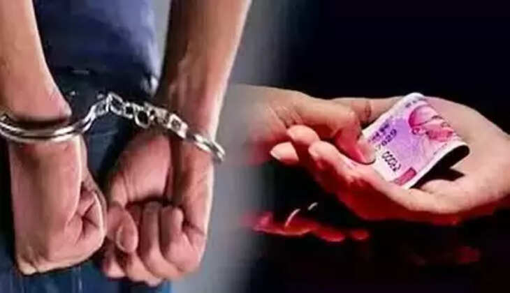 Uttarakhand News - वन दरोगा की गिरी नियत विजिलेंस ने घूस लेते दबोचा, इस काम के लिए मांग रहा था रिश्वत&nbsp;