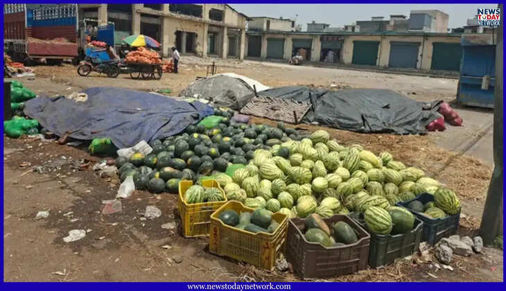 उत्तराखंड - इंटरनेट मीडिया ने बिगाड़ा तरबूज का स्वाद, मंडी में दो रुपये किलो भी नहीं मिल रहे खरीदार, ट्रॉली पलट गया किसान&nbsp;
