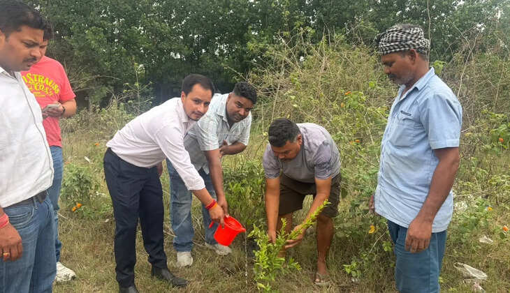 विश्व पर्यावरण दिवस पर शांतिपुरी किच्छा खनन क्षेत्र में वृहद वृक्षारोपण अभियान हुआ आयोजित 