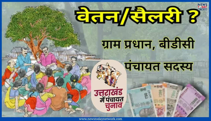 Panchayat Election - ग्राम प्रधान से लेकर ज़िला पंचायत अध्यक्ष तक, कितनी मिलती है सैलरी? जानिए पंचायत प्रतिनिधियों की मानदेय सूची