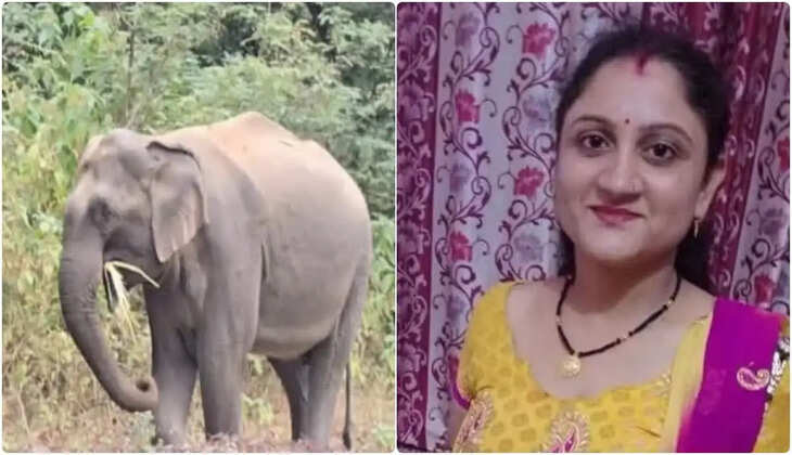 उत्तराखंड - दूध लेकर घर लौट रही महिला पर हाथी का हमला, उपचार के दौरान मौत, क्षेत्र में घटना से ग्रामीणों में आक्रोश&nbsp;