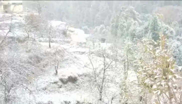 नैनीताल - जिले में इन जगहों पर बिछी बर्फ की सफ़ेद चादर, पहली बर्फ़बारी से किसान और पर्यटक हुए गदगद 