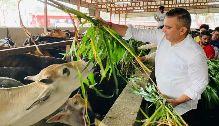 हल्द्वानी - स्व. इंदिरा हृदयेश की पुण्यतिथि पर विधायक सुमित हृदयेश ने की गौसेवा, जननेत्री को दी श्रद्धांजलि