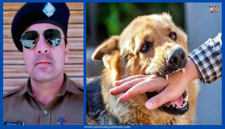 Uttarakhand News - उत्तराखंड पुलिस कांस्टेबल की कुत्ते के काटने से हुई मौत, एंटी रेबीज इंजेक्शन के बावजूद नहीं बच पाई जान