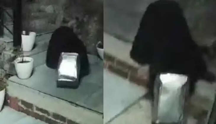 Uttarakhand News - कनस्तर में इस हालत में फंसा रहा भालू का सिर, चार घंटे तक आफत में फंसी रही जान - Video 