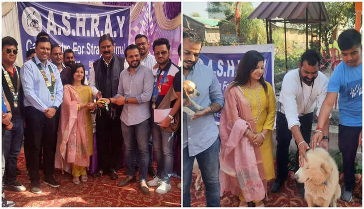 हल्द्वानी - बेजुवान और घायल जानवरों के मिलकर जख्म भरेंगी यह दो संस्थायें, साथ काम करने का किया वादा&nbsp;