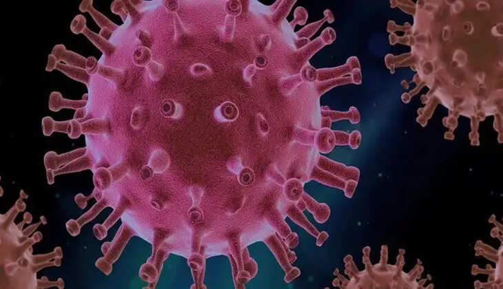 हल्द्वानी में कोरोना का नया केस, सुशीला तिवारी अस्पताल में 76 वर्षीय बुजुर्ग महिला पॉजिटिव, मचा हड़कंप&nbsp;