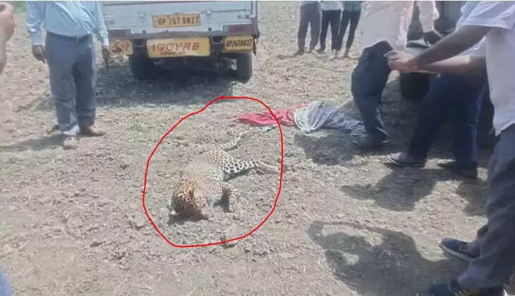िहकी