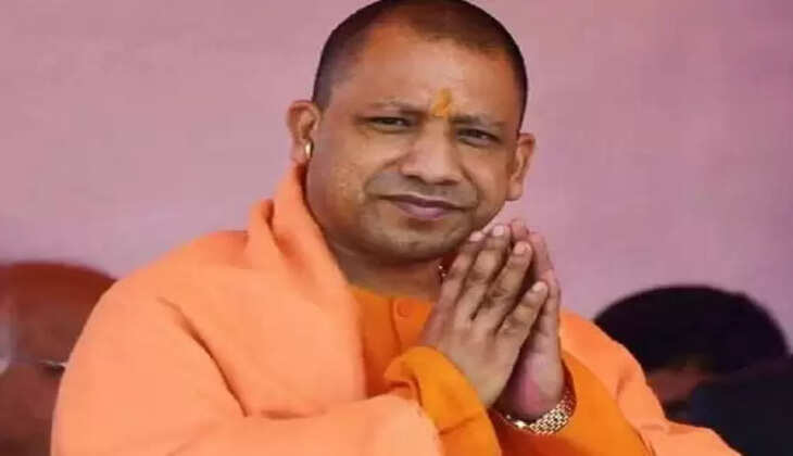yogi 