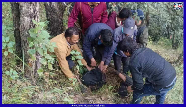 उत्तराखंड - जंगल में लापता महिला भालू के चंगुल से छूटकर रातभर पेड़ के सहारे छिपी रही, इलाके में दहशत&nbsp;