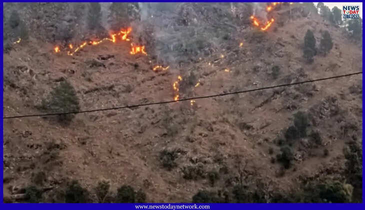 उत्तराखंड - जंगल की आग बनी जानलेवा, महिला और फायर वाचर की दर्दनाक मौत, लोगों में वन विभाग के पार्टी आक्रोश&nbsp;