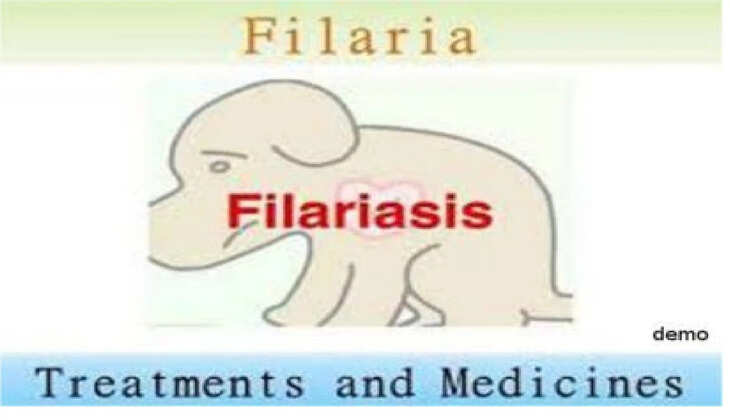 fileria 