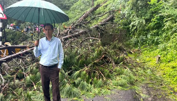 नैनीताल - चीड़ का पेड़ गिरने से हल्द्वानी-नैनीताल मार्ग बाधित, कमिश्नर दीपक रावत ने मौके पर रहकर खुलवाया&nbsp;