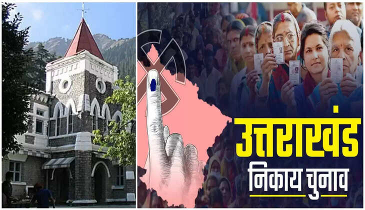 नैनीताल - हाईकोर्ट ने उत्तराखंड सरकार और राज्य निर्वाचन आयोग से पूछा यह सवाल, निकाय चुनावों का है मामला