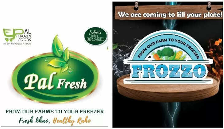 Pal Frozen wil launch New Products - आपके स्वाद का जायका बढ़ाएगा पाल फ्रोज़न फूड्स, लॉन्च होंगे दस नए प्रोडक्ट्स