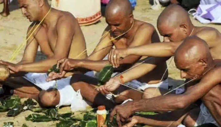 tarpan 