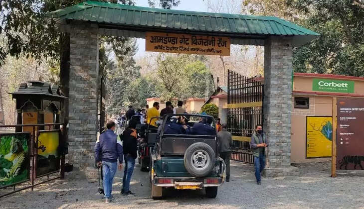 Uttarakhand News - पर्यटकों के खुशखबरी इस दिन से खुल जायेगा कॉर्बेट बिजरानी जोन, ऐसे करें ऑनलाइन बुकिंग&nbsp;Corbett Tiger Reserve Park