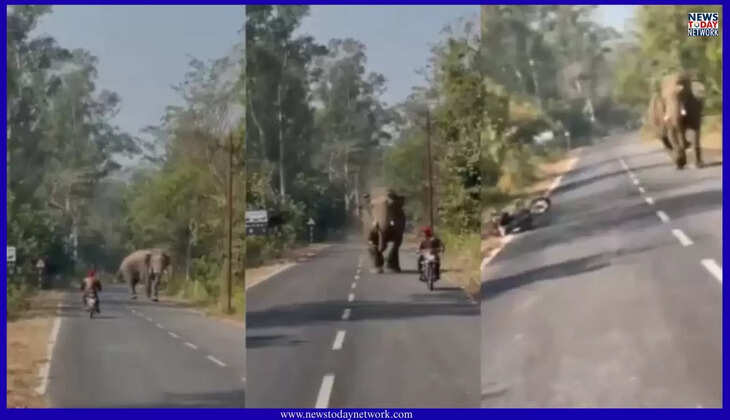 नैनीताल - हाथी ने भगाया तो युवक ने बाइक छोड़ बचाई जान, लापरवाही पड़ी भारी, वायरल हुआ वीडियो&nbsp;