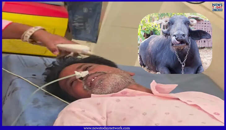 उत्तराखंड - भैंस चोरी से आहत पशुपालक ने कोतवाली में खाया जहर, पुलिस प्रताड़ना का आरोप, हालत गंभीर