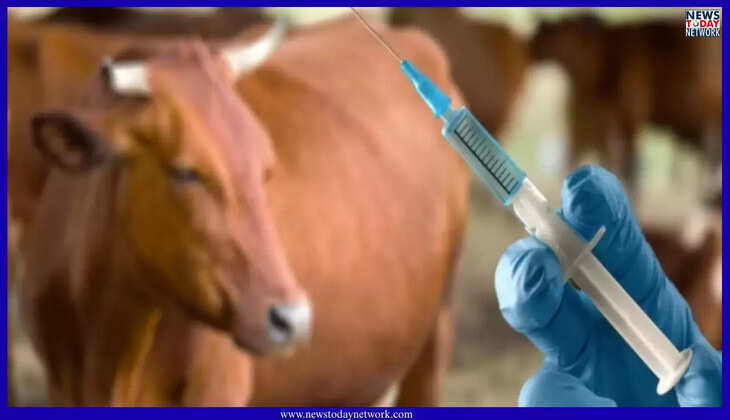 देहरादून - उत्तराखंड में पशुओं की 34 दवाओं पर प्रतिबंध, केंद्र सरकार के निर्देश पर जारी हुआ आदेश