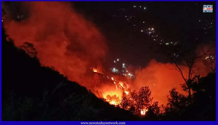 नैनीताल - 70 घंटे से धधक रहे जंगल, वन संपदा को भारी नुकसान, धुएं से जनजीवन प्रभावित, वन्यजीवों पर भी मंडराया खतरा