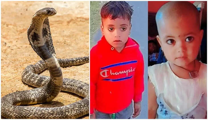 नैनीताल - रात में सो रहे थे भाई - बहन, सांप के डसने से दोनों की हुई मौत, दो बच्चों को खोने से सदमे में मां - बाप