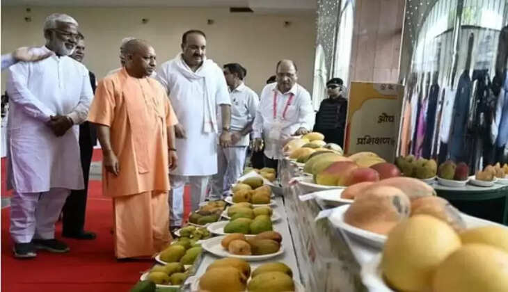 राहीहसेर