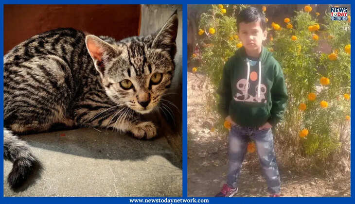 हल्द्वानी - बिल्ली के काटने से सात वर्षीय बच्चे की मौत, जानिए मौत से पहले क्या थे लक्षण, और क्या कहते हैं डॉक्टर&nbsp;