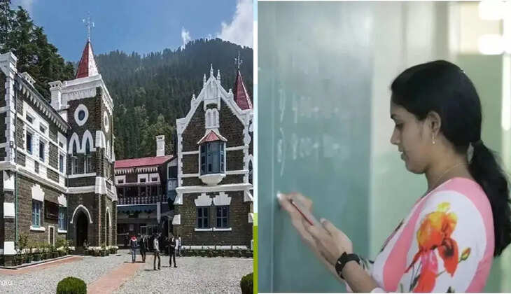 नैनीताल - उत्तराखंड में बीएड डिग्री वालों को झटका, हाईकोर्ट ने प्राइमरी शिक्षक भर्ती में ठहराया अयोग्य