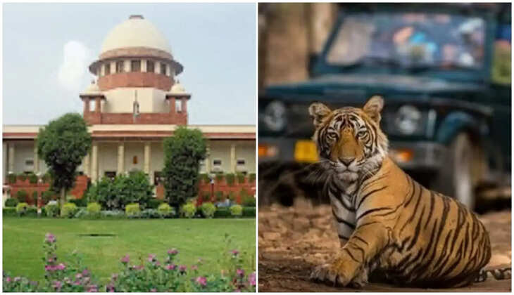 जिम कॉर्बेट मामले में सुप्रीम फटकार, जानिए कोर्ट ने क्यों कहा नेताओं और नौकरशाहों ने विश्वास को कचरे में फेंक दिया