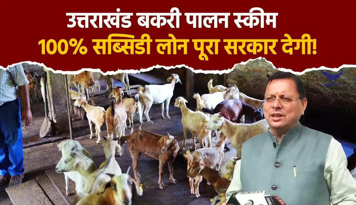 उत्तराखंड बकरी पालन सब्सिडी लोन योजना - Uttarakhand Goat Vally Farming Subsidy Yojna - स्वरोजगार स्कीम&nbsp;
