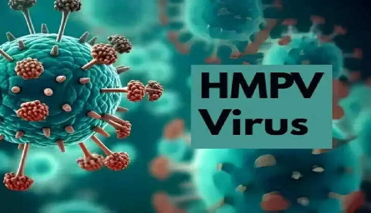HMPV Virus - कोरोना के बाद अब एक नए वायरस ने मचाया कोहराम ,उत्तराखंड स्वास्थ्य विभाग ने जारी किया अलर्ट 